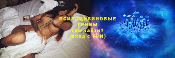 ГАЛЛЮЦИНОГЕННЫЕ ГРИБЫ Богородск