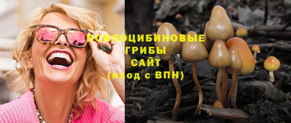 ГАЛЛЮЦИНОГЕННЫЕ ГРИБЫ Богородск